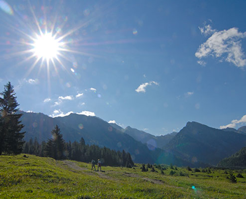 Summer in Allgäu