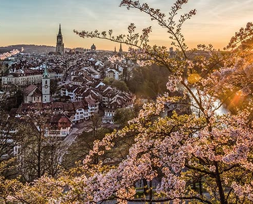 Summer in Bern